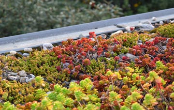 the cost of Grainthorpe Fen green roof installation